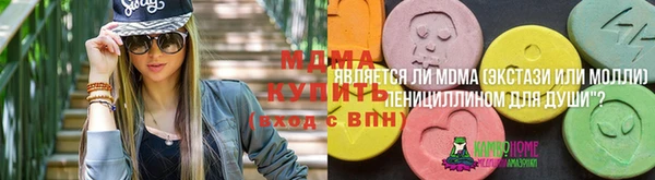 стафф Алексин
