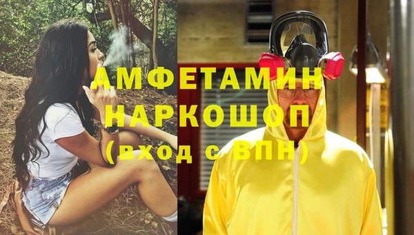стафф Алексин