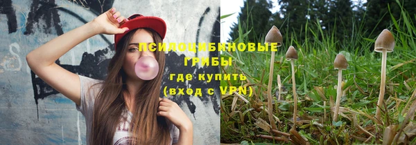 МДПВ Абинск