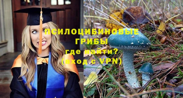 МДПВ Абинск